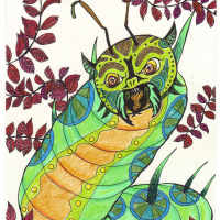 Caterpillar Dragon.jpg